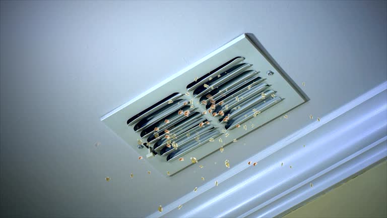 Best Residential Air Duct Cleaning  in Garland, NC
